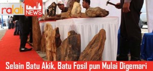 batu akik dan batu fosil
