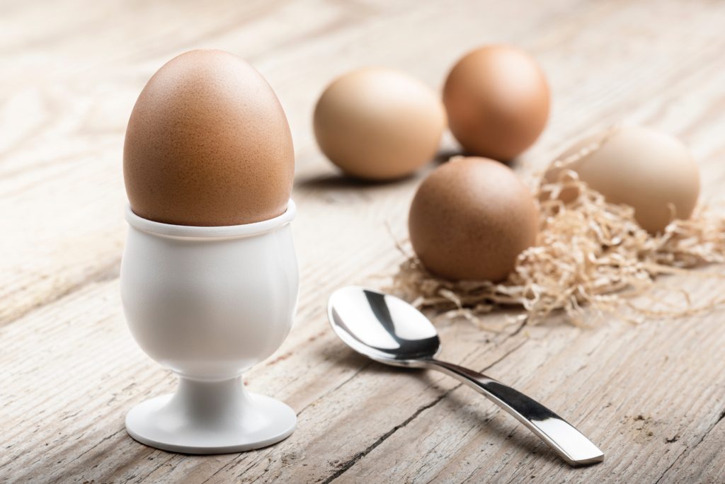 usaha sosis telur