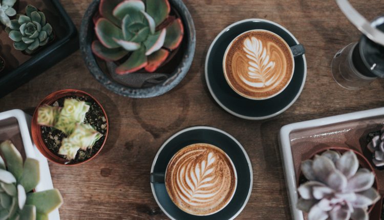 memulai bisnis 80 juta