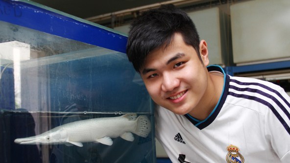 pengusaha ikan pengusaha ikan